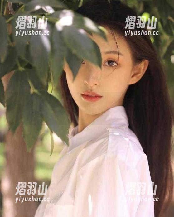 51爆料 吃瓜网51爆料网页平台上线全新视频专辑