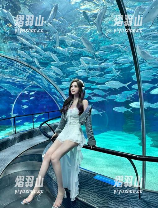 黑料不打烊网页版精彩不断，别忘了分享你最爱的内容！